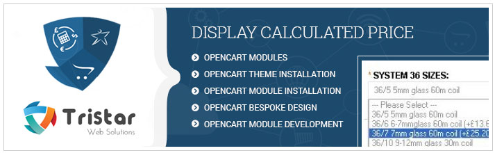 Display Calculated Price