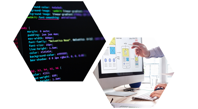 shopify developer